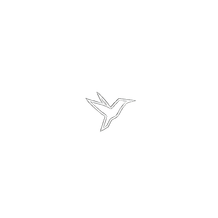 Logo FlyingStringer